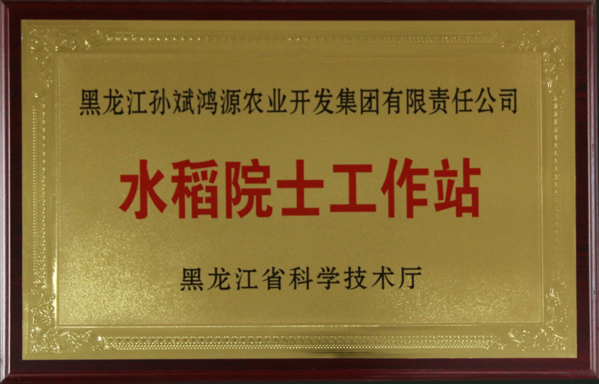水稻院士工作站(黑龙江省科学技术厅) 水稻院士工作站(黑龙江省科学技术厅)